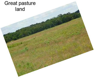 Great pasture land