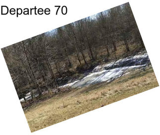 Departee 70