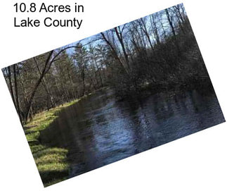 10.8 Acres in Lake County