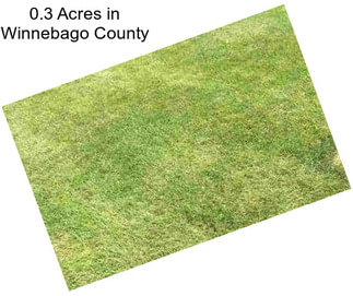 0.3 Acres in Winnebago County