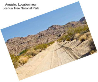 Amazing Location near Joshua Tree National Park