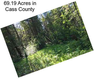 69.19 Acres in Cass County