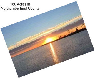 180 Acres in Northumberland County