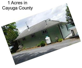 1 Acres in Cayuga County
