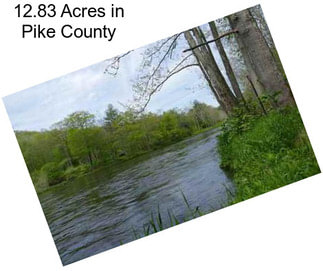 12.83 Acres in Pike County