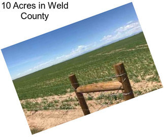 10 Acres in Weld County