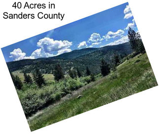 40 Acres in Sanders County