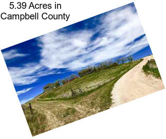 5.39 Acres in Campbell County