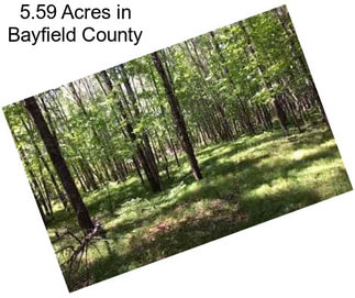 5.59 Acres in Bayfield County