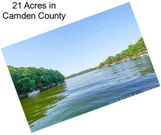 21 Acres in Camden County