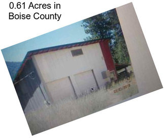 0.61 Acres in Boise County