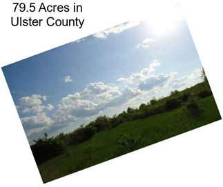 79.5 Acres in Ulster County