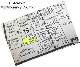 15 Acres in Montmorency County