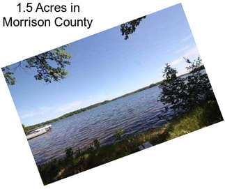 1.5 Acres in Morrison County