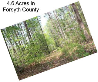 4.6 Acres in Forsyth County