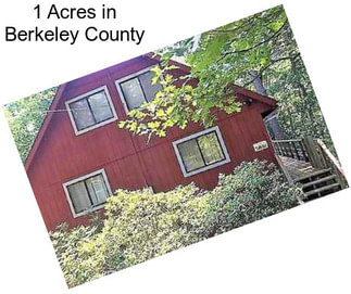 1 Acres in Berkeley County