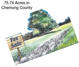 75.74 Acres in Chemung County