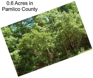 0.6 Acres in Pamlico County