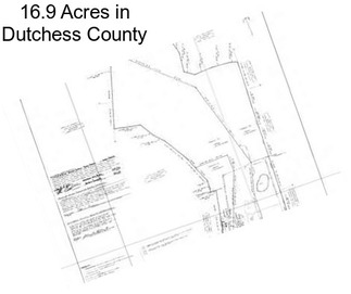 16.9 Acres in Dutchess County