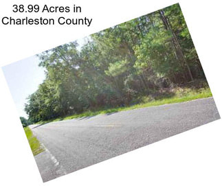38.99 Acres in Charleston County