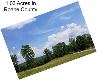 1.03 Acres in Roane County