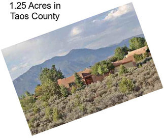 1.25 Acres in Taos County