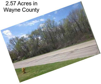 2.57 Acres in Wayne County