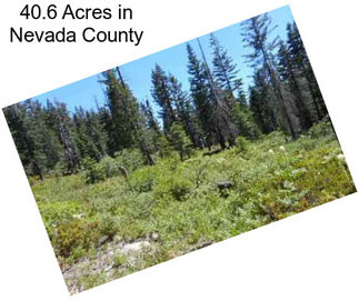 40.6 Acres in Nevada County