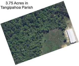 3.75 Acres in Tangipahoa Parish