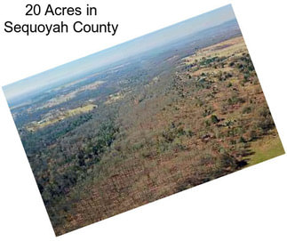 20 Acres in Sequoyah County