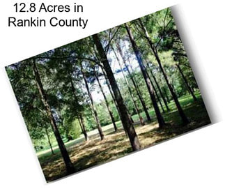 12.8 Acres in Rankin County