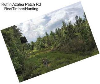 Ruffin Azalea Patch Rd Rec/Timber/Hunting