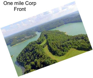 One mile Corp Front