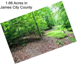 1.66 Acres in James City County