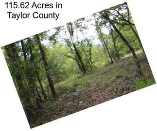 115.62 Acres in Taylor County