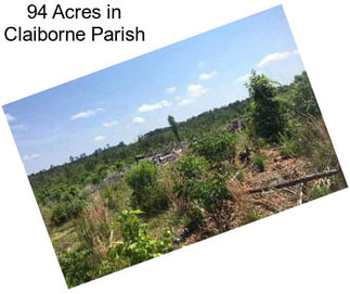 94 Acres in Claiborne Parish
