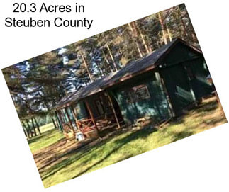 20.3 Acres in Steuben County