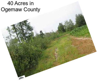 40 Acres in Ogemaw County