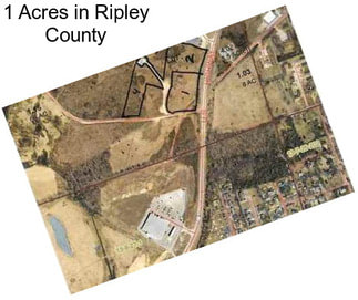 1 Acres in Ripley County