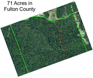 71 Acres in Fulton County