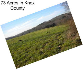 73 Acres in Knox County