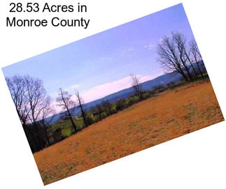 28.53 Acres in Monroe County