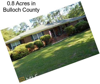 0.8 Acres in Bulloch County