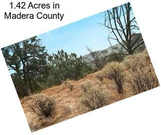 1.42 Acres in Madera County