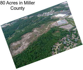 80 Acres in Miller County