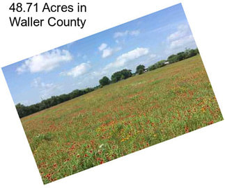 48.71 Acres in Waller County