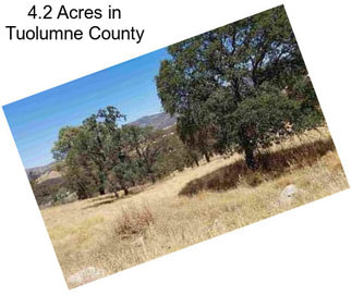 4.2 Acres in Tuolumne County