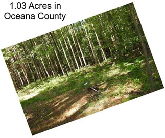 1.03 Acres in Oceana County