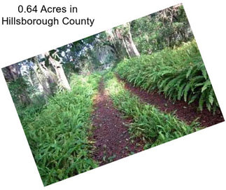 0.64 Acres in Hillsborough County