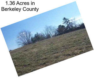 1.36 Acres in Berkeley County
